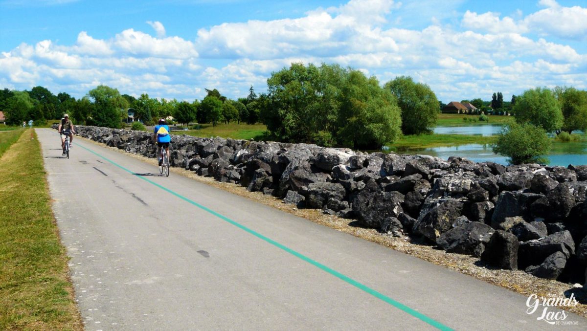 Balade en forêt d’Orient